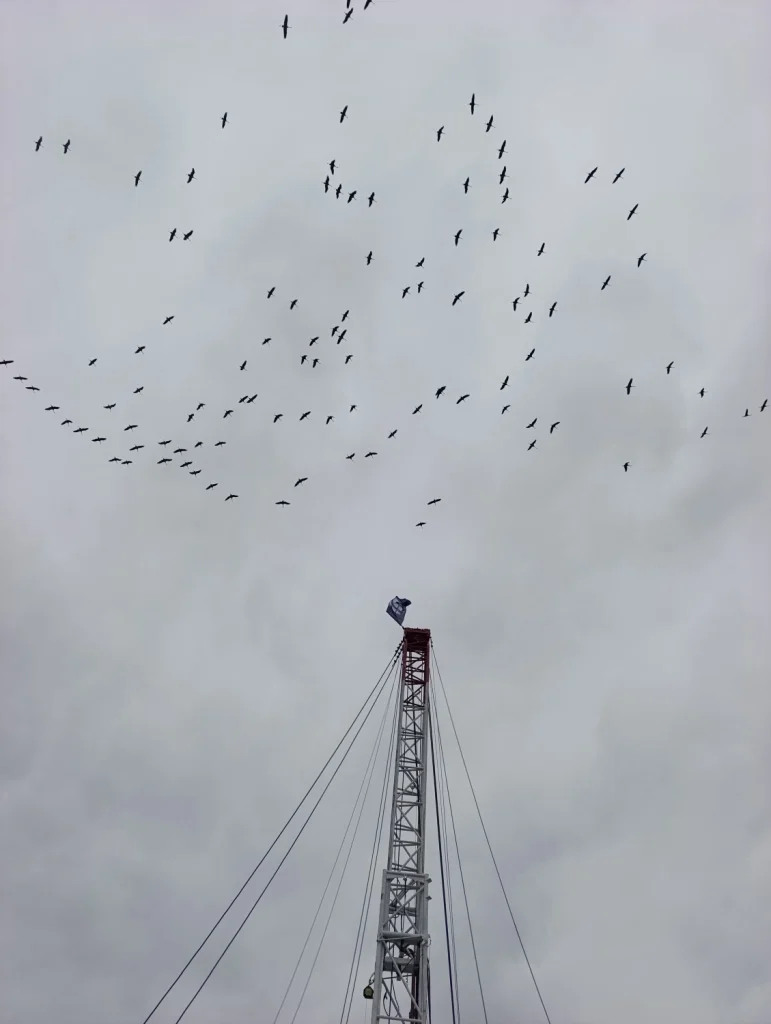 Karpackie Przedsiębiorstwo Wiertnicze Sp. z o.o.
